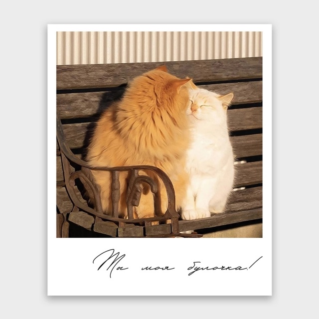 Открытка-фотокарточка «Ты моя булочка!»