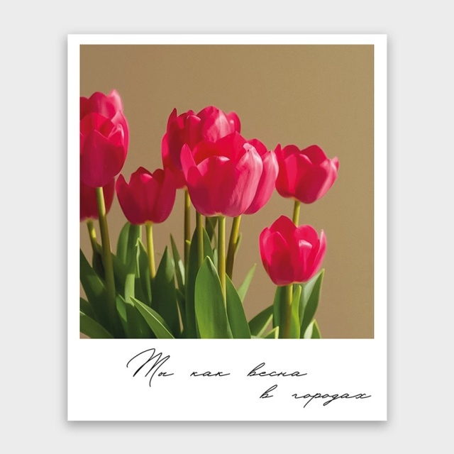 Открытка-фотокарточка «Ты как весна в городах» Открытка-фотокарточка «Ты как весна в городах»