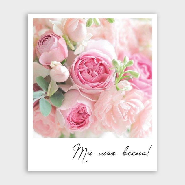 Открытка-фотокарточка «Ты моя весна!» Открытка-фотокарточка «Ты моя весна!»