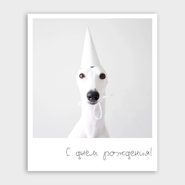 Открытка-фотокарточка с собачкой «С днём рождения!»