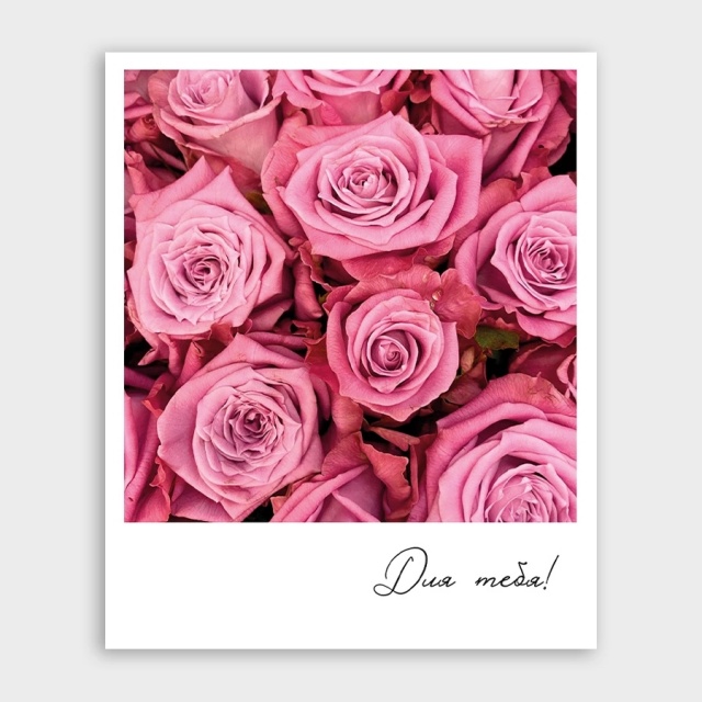 Открытка-фотокарточка с розами «Для тебя!» Открытка-фотокарточка с розами «Для тебя!»