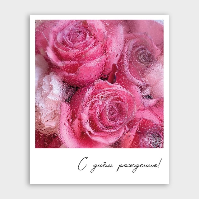 Открытка-фотокарточка с розами «С днём рождения!»