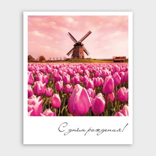 Открытка-фотокарточка с тюльпанами «С днём рождения!»
