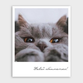 Открытка-фотокарточка с котиком «Давай обниматься»