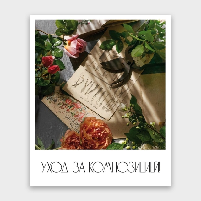 Открытка-фотокарточка «Уход за композицией» Открытка-фотокарточка «Уход за композицией»