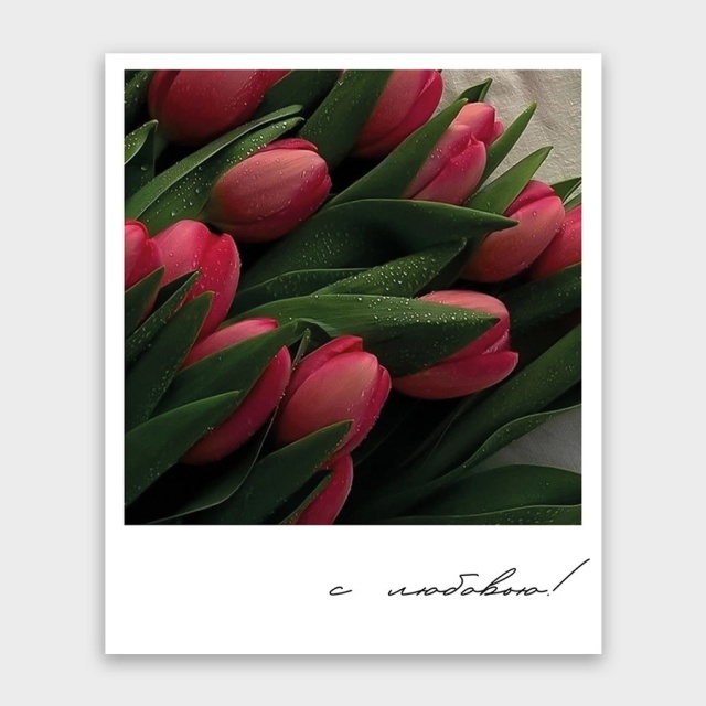 Открытка-фотокарточка с тюльпанами «С любовью»