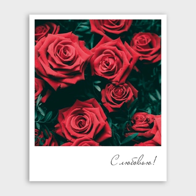 Открытка-фотокарточка с розами «С любовью!»