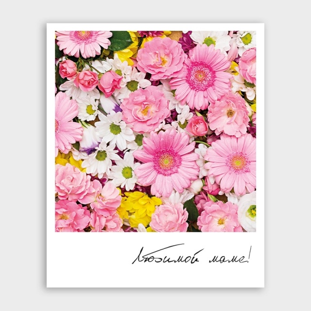 Открытка-фотокарточка с ярким букетом «Любимой маме!» Открытка-фотокарточка с ярким букетом «Любимой маме!»