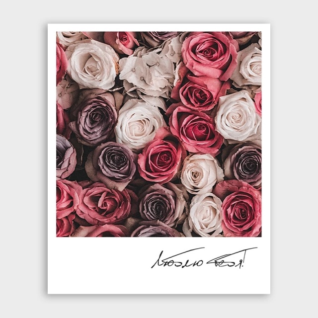 Открытка-фотокарточка с цветными розами «Люблю тебя!»