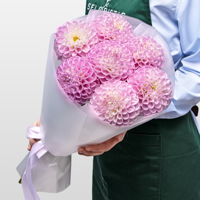 Букет из Георгин «Сладкий румянец»