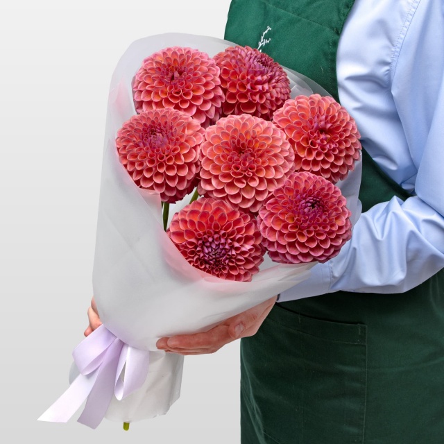 Букет из Георгин «Коралловая Мечта»