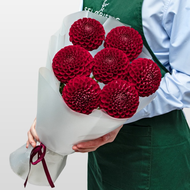 Букет из Георгин «Гранатовая роскошь»