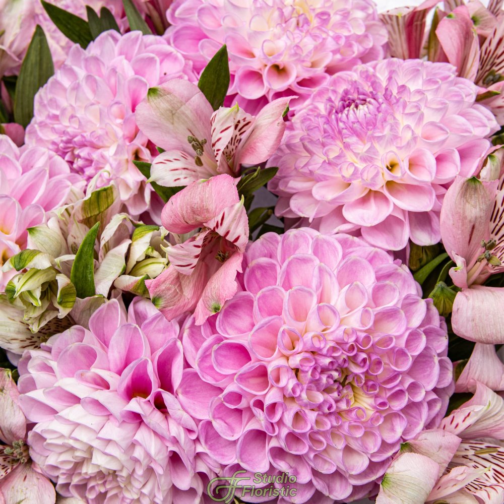 Букет из Георгин и Альстромерий «Пастельный Восторг» Букет из Георгин и Альстромерий «Пастельный Восторг»