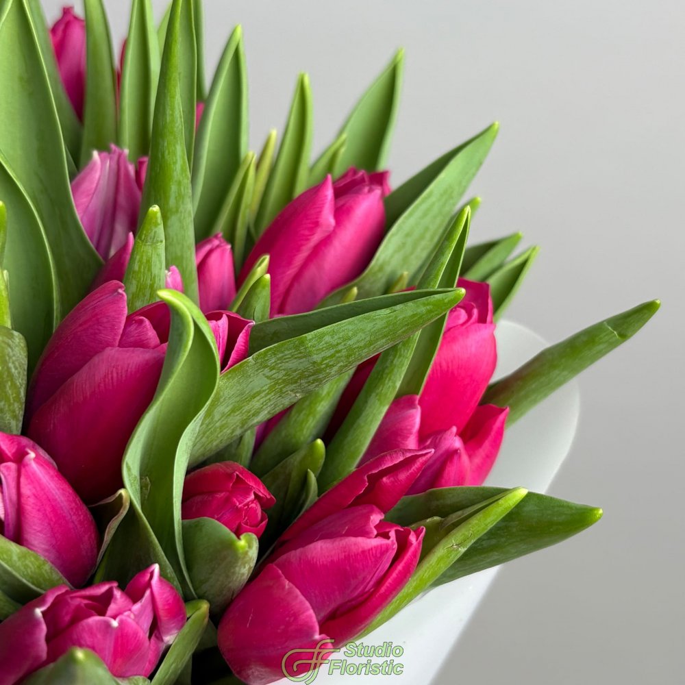 Букет розовых Тюльпанов 25 шт «Изящный Дар» Букет розовых Тюльпанов 25 шт «Изящный Дар»