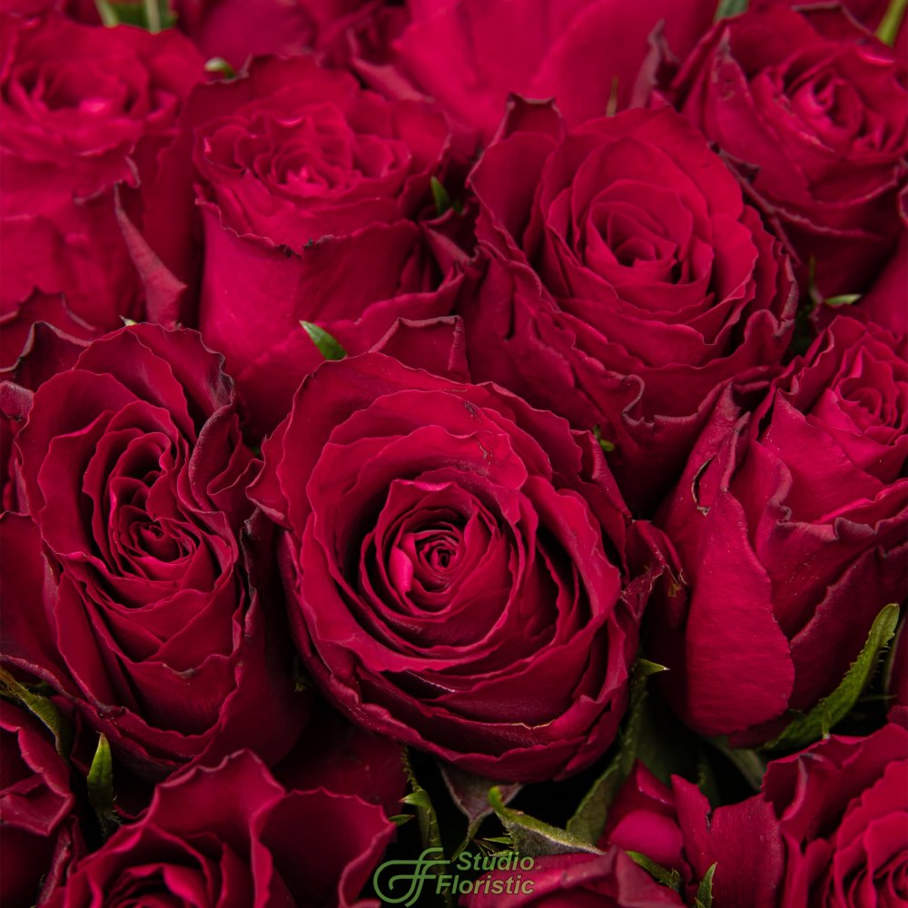 Букет красных Роз Кения 40 см 51 шт «Эликсир Любви» Букет красных Роз Кения 40 см 51 шт «Эликсир Любви»