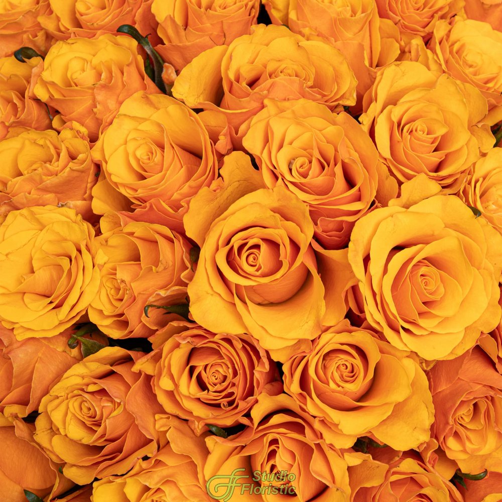 Букет оранжевых Роз Кения 40 см 101 шт «Золото Инков» Букет оранжевых Роз Кения 40 см 101 шт «Золото Инков»