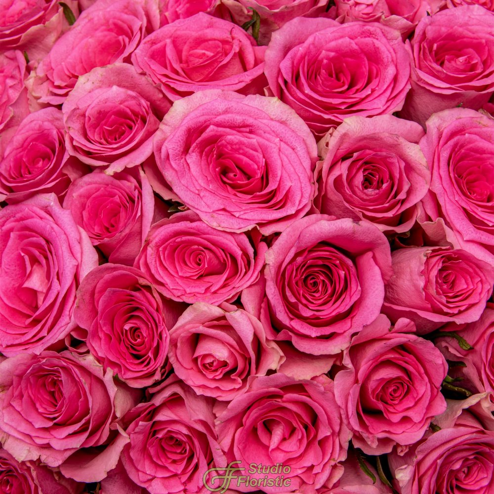 Букет розовых Роз Кения 40 см 101 шт «Сад Афродиты» Букет розовых Роз Кения 40 см 101 шт «Сад Афродиты»
