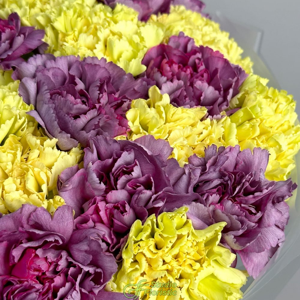 Букет из желтых и фиолетовых Гвоздик 25 шт «Маскарад» Букет из желтых и фиолетовых Гвоздик 25 шт «Маскарад»