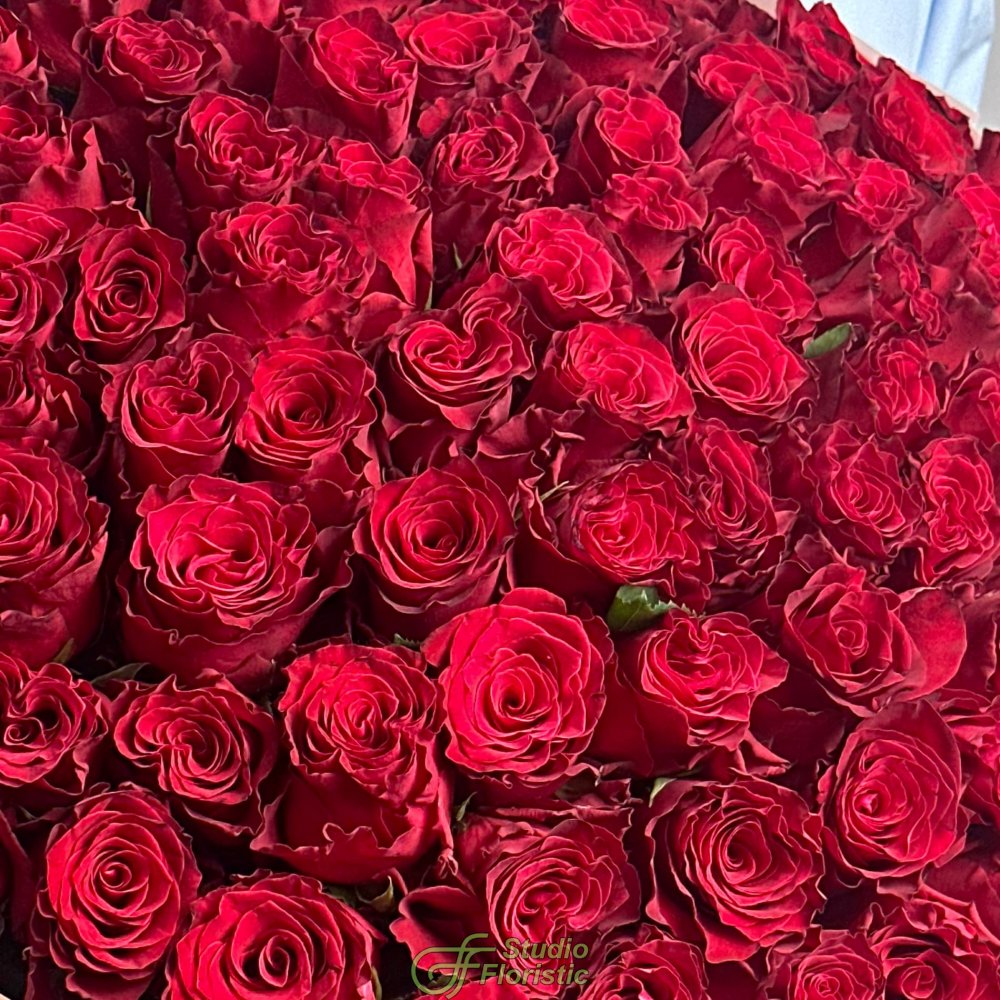 Букет из красных Роз 80 см 101 шт «Просто Люблю» Букет из красных Роз 80 см 101 шт «Просто Люблю»