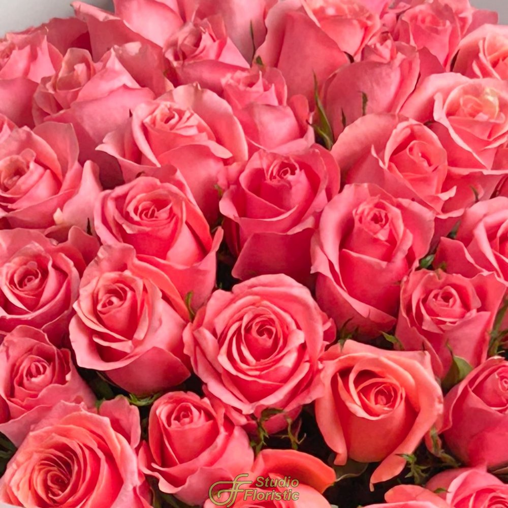 Букет из розовых Роз Кения 60 см 51 шт «Восторг без Слов» Букет из розовых Роз Кения 60 см 51 шт «Восторг без Слов»