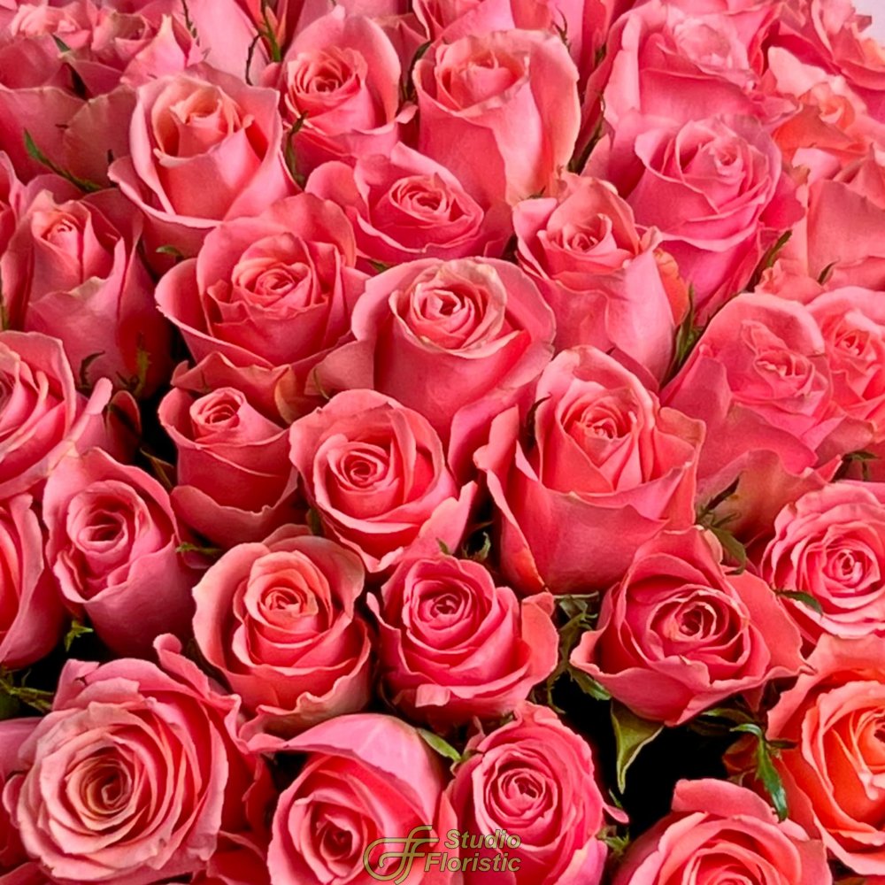 Букет из розовых Роз Кения 60 см 101 шт «Слияние Сердец» Букет из розовых Роз Кения 60 см 101 шт «Слияние Сердец»