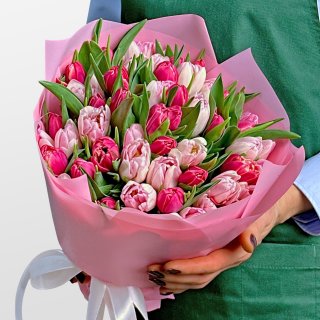 Букет из нежно-розовых и малиновых Тюльпанов 51 шт «Закат на Ривьере»