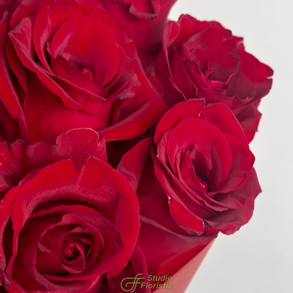 Букет из красных Роз Кения 60 см 21 шт «Искушение» Букет из красных Роз Кения 60 см 21 шт «Искушение»