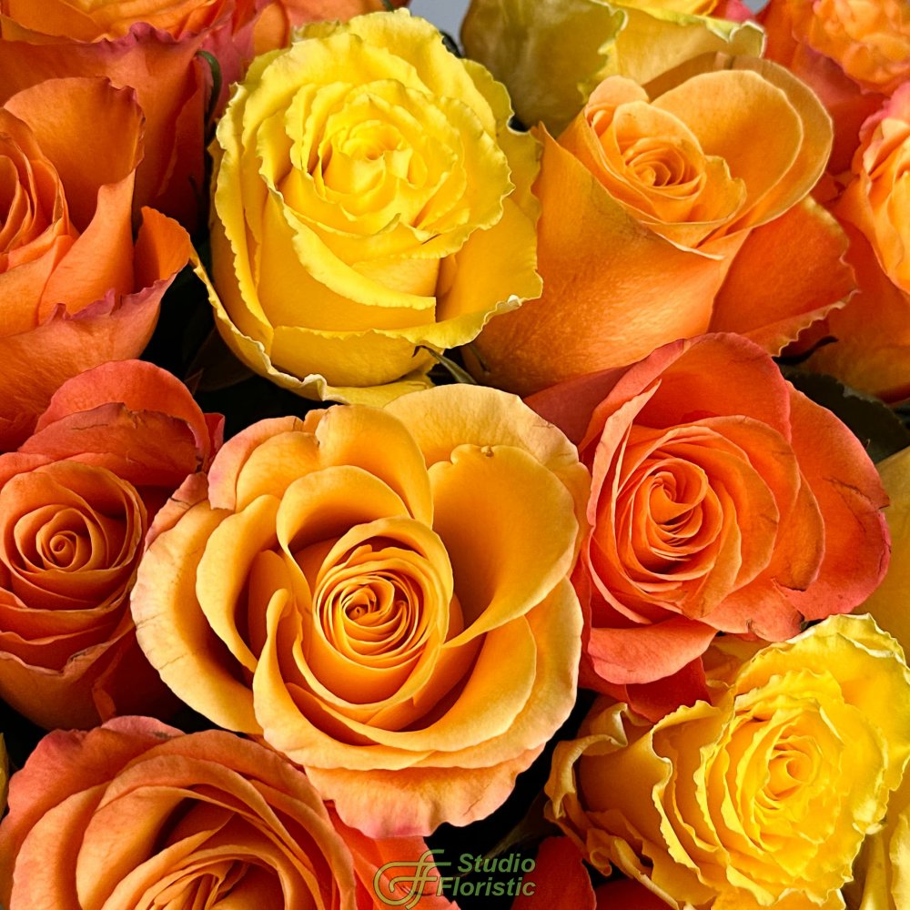 Букет из Роз Кения 60 см желто-оранжевый микс 31 шт «Осенний Поцелуй» Букет из Роз Кения 60 см желто-оранжевый микс 31 шт «Осенний Поцелуй»