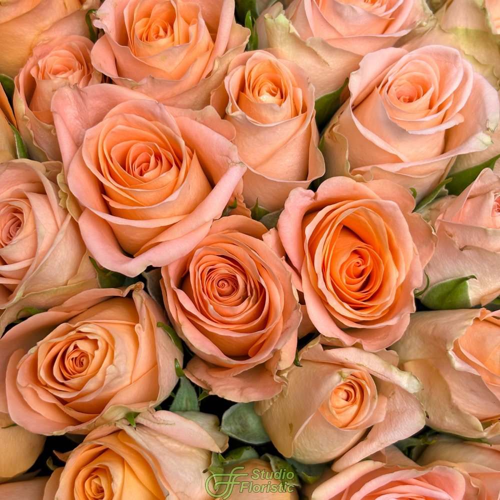 Букет из персиковых Роз Кения 40 см 101 шт «Нежность шампани» Букет из персиковых Роз Кения 40 см 101 шт «Нежность шампани»