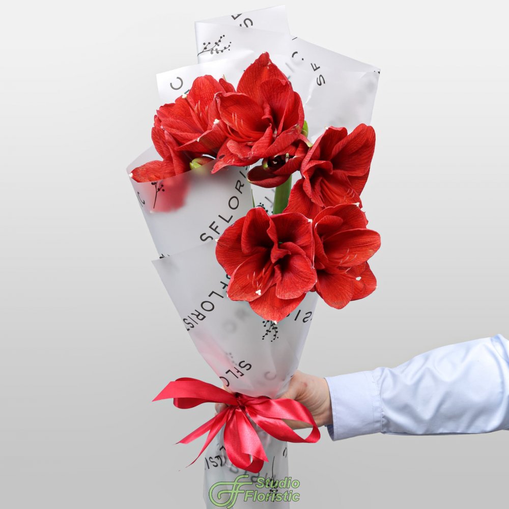 Букет из Амариллиса 3 шт «Зимняя Звезда» Букет из Амариллиса 3 шт «Зимняя Звезда»