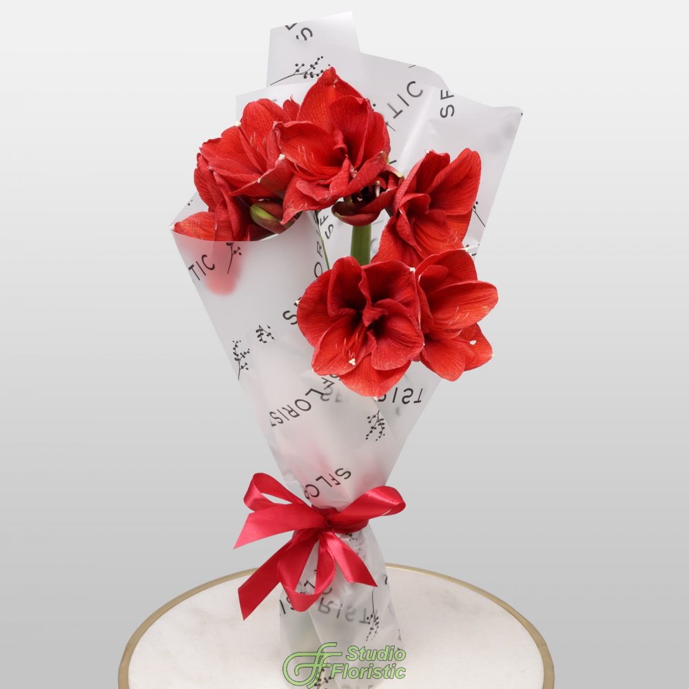 Букет из Амариллиса 3 шт «Зимняя Звезда» Букет из Амариллиса 3 шт «Зимняя Звезда»