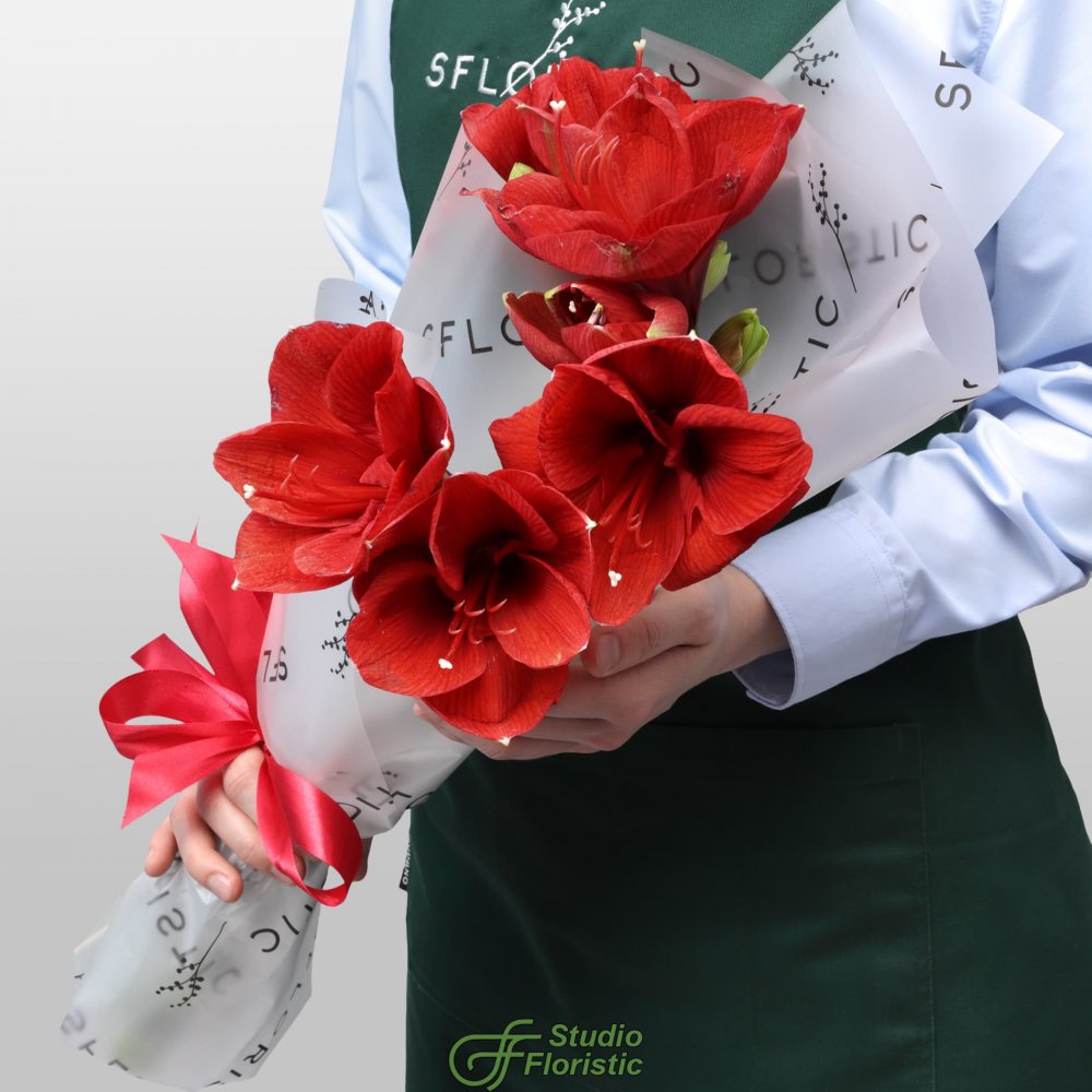 Букет из Амариллиса 3 шт «Зимняя Звезда» Букет из Амариллиса 3 шт «Зимняя Звезда»