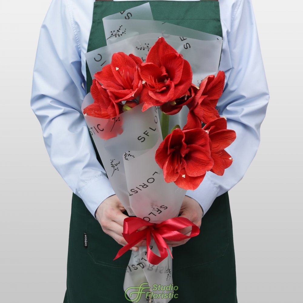 Букет из Амариллиса 3 шт «Зимняя Звезда» Букет из Амариллиса 3 шт «Зимняя Звезда»