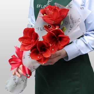 Букет из Амариллиса 3 шт «Зимняя Звезда»