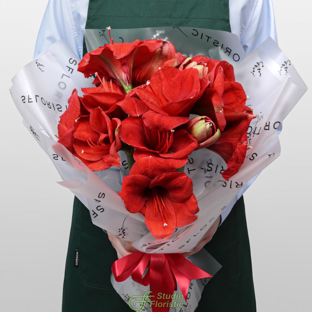 Букет из Амариллиса 5 шт «Огонек на Снегу» Букет из Амариллиса 5 шт «Огонек на Снегу»