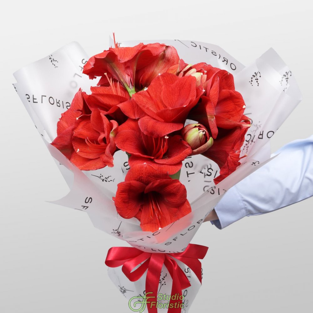 Букет из Амариллиса 5 шт «Огонек на Снегу» Букет из Амариллиса 5 шт «Огонек на Снегу»