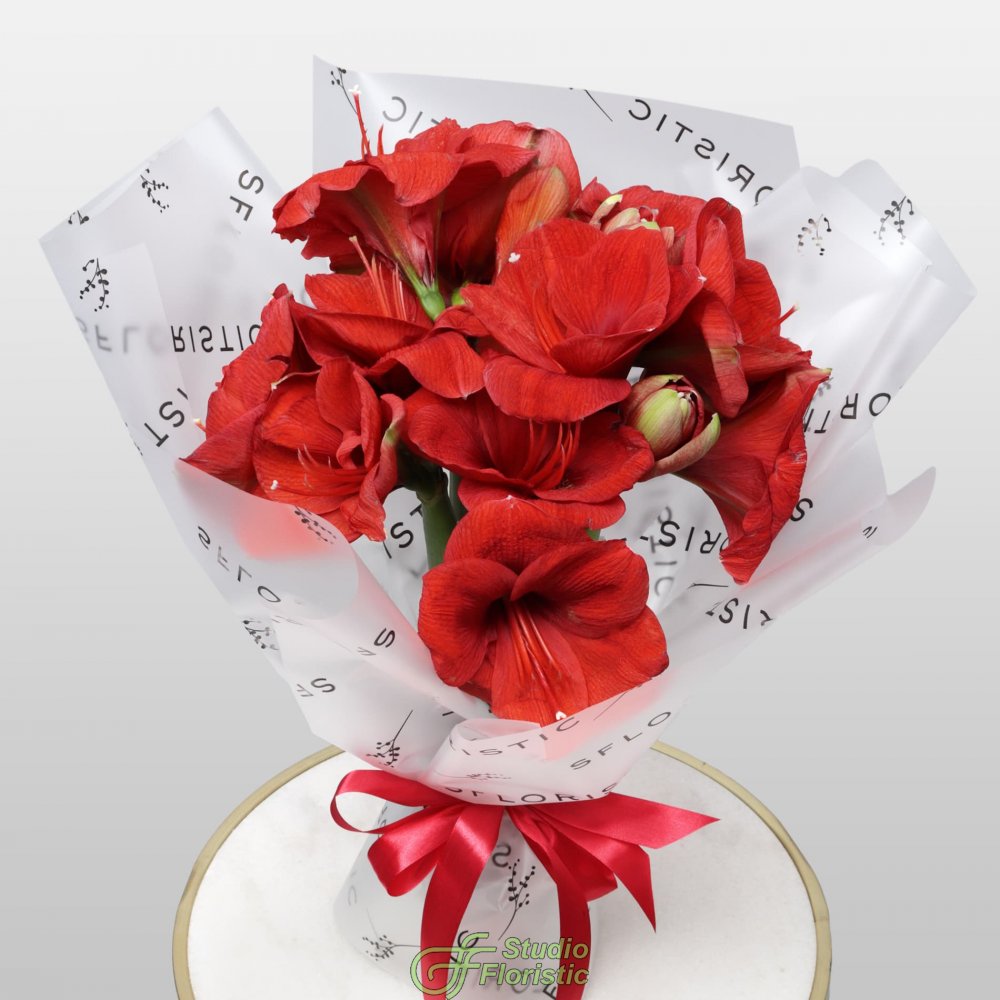 Букет из Амариллиса 5 шт «Огонек на Снегу» Букет из Амариллиса 5 шт «Огонек на Снегу»