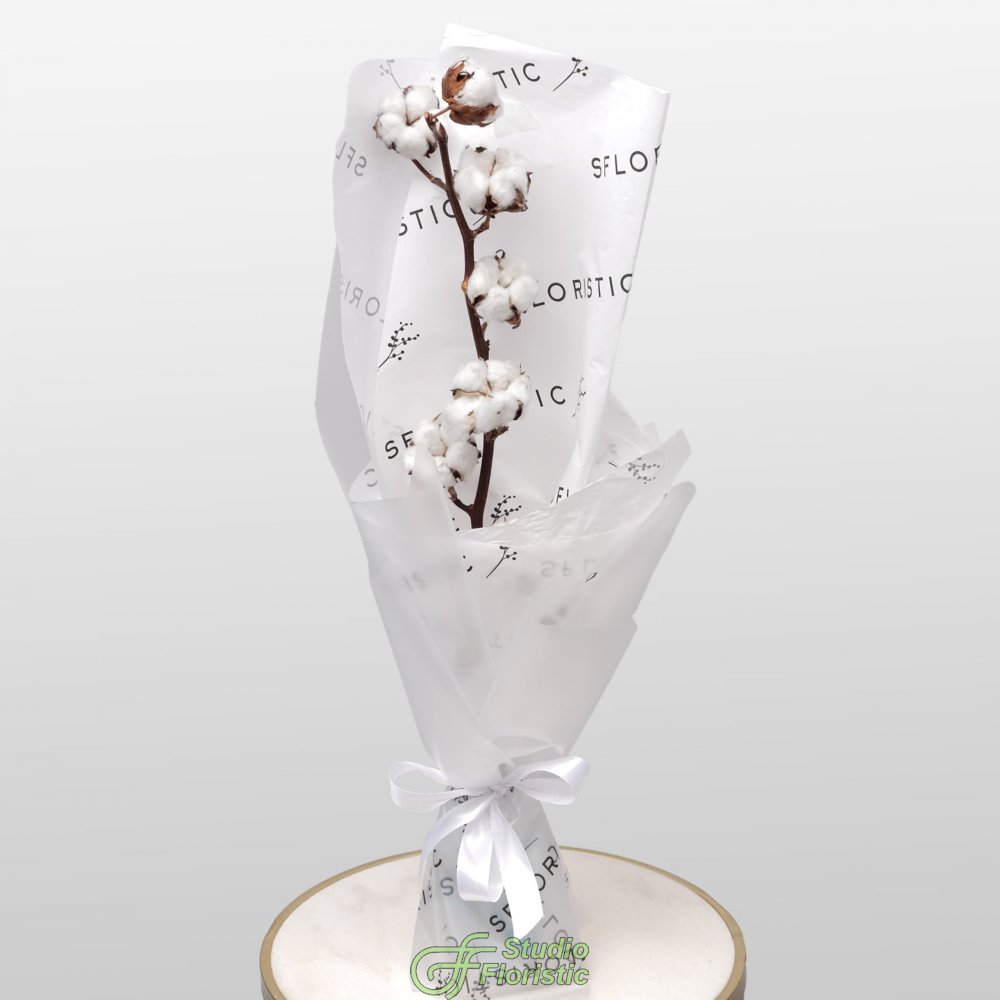 Букет из ветки Хлопка «Мягкое Прикосновение» Букет из ветки Хлопка «Мягкое Прикосновение»