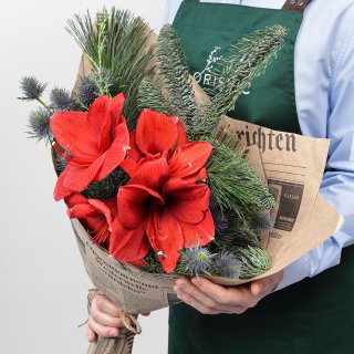 Новогодний букет из Амариллиса и Эрингиума «Рождественский Свет»