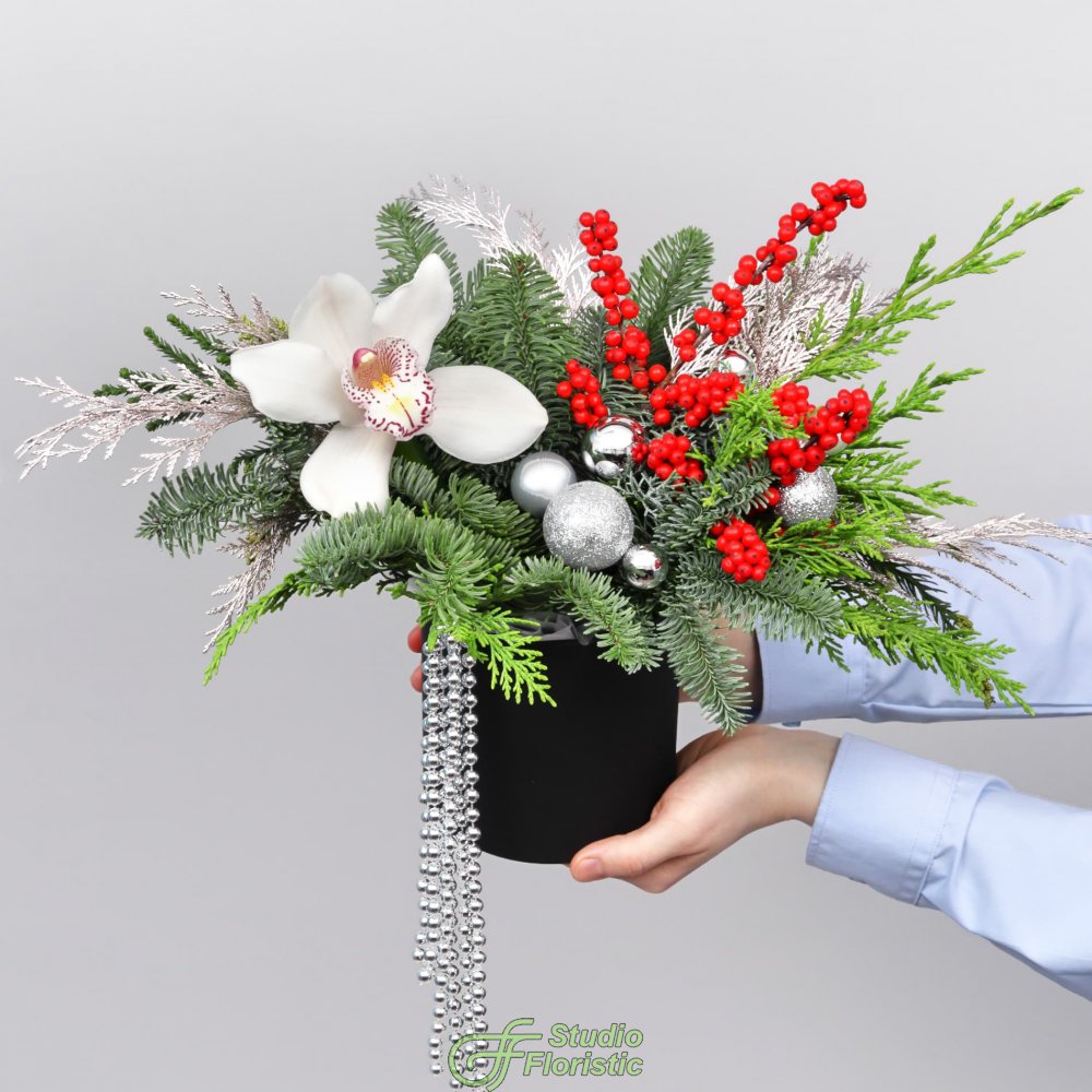 Новогодняя композиция из Нобилиса, Туи и Орхидеи в коробке «Серебряный Вальс» Новогодняя композиция из Нобилиса, Туи и Орхидеи в коробке «Серебряный Вальс»