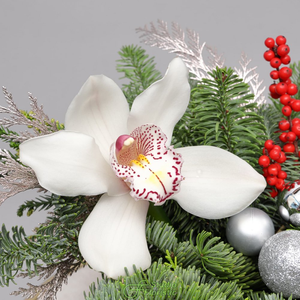 Новогодняя композиция из Нобилиса, Туи и Орхидеи в коробке «Серебряный Вальс» Новогодняя композиция из Нобилиса, Туи и Орхидеи в коробке «Серебряный Вальс»