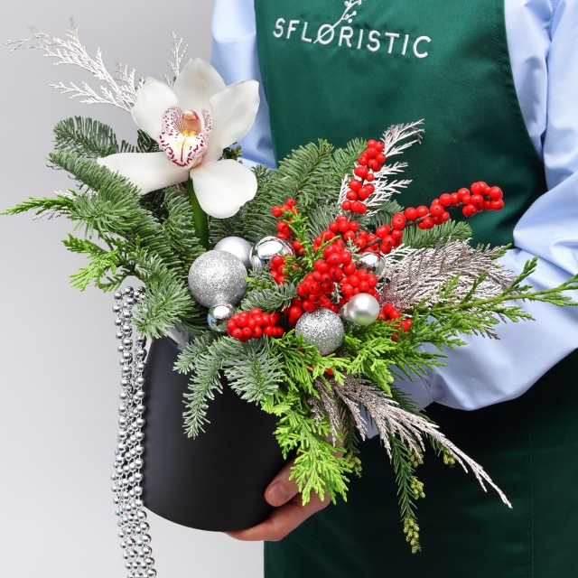 Новогодняя композиция из Нобилиса, Туи и Орхидеи в коробке «Серебряный Вальс»