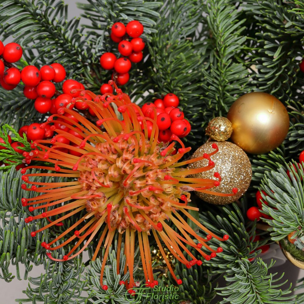 Композиция из Нобилиса, Туи и Леукаспермума в коробке «Путеводная Звезда» Композиция из Нобилиса, Туи и Леукаспермума в коробке «Путеводная Звезда»