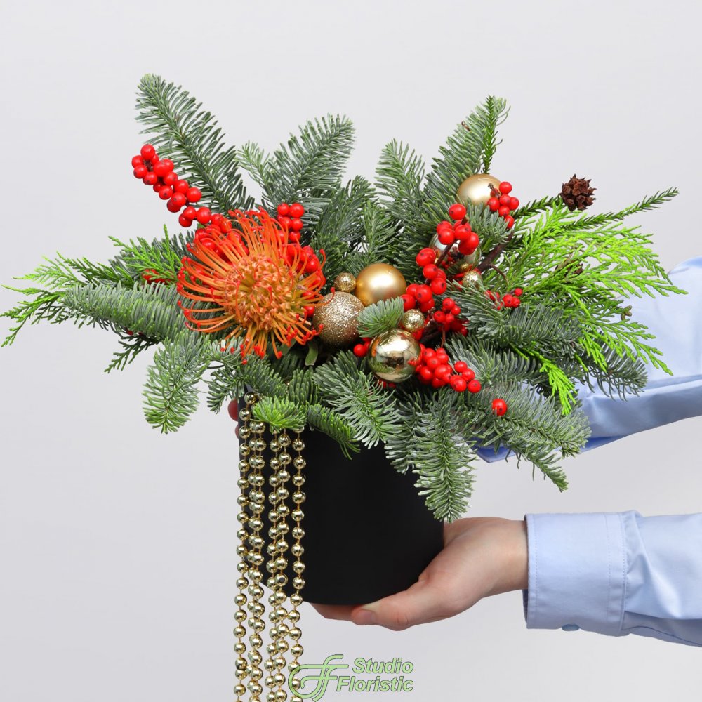 Композиция из Нобилиса, Туи и Леукаспермума в коробке «Путеводная Звезда» Композиция из Нобилиса, Туи и Леукаспермума в коробке «Путеводная Звезда»