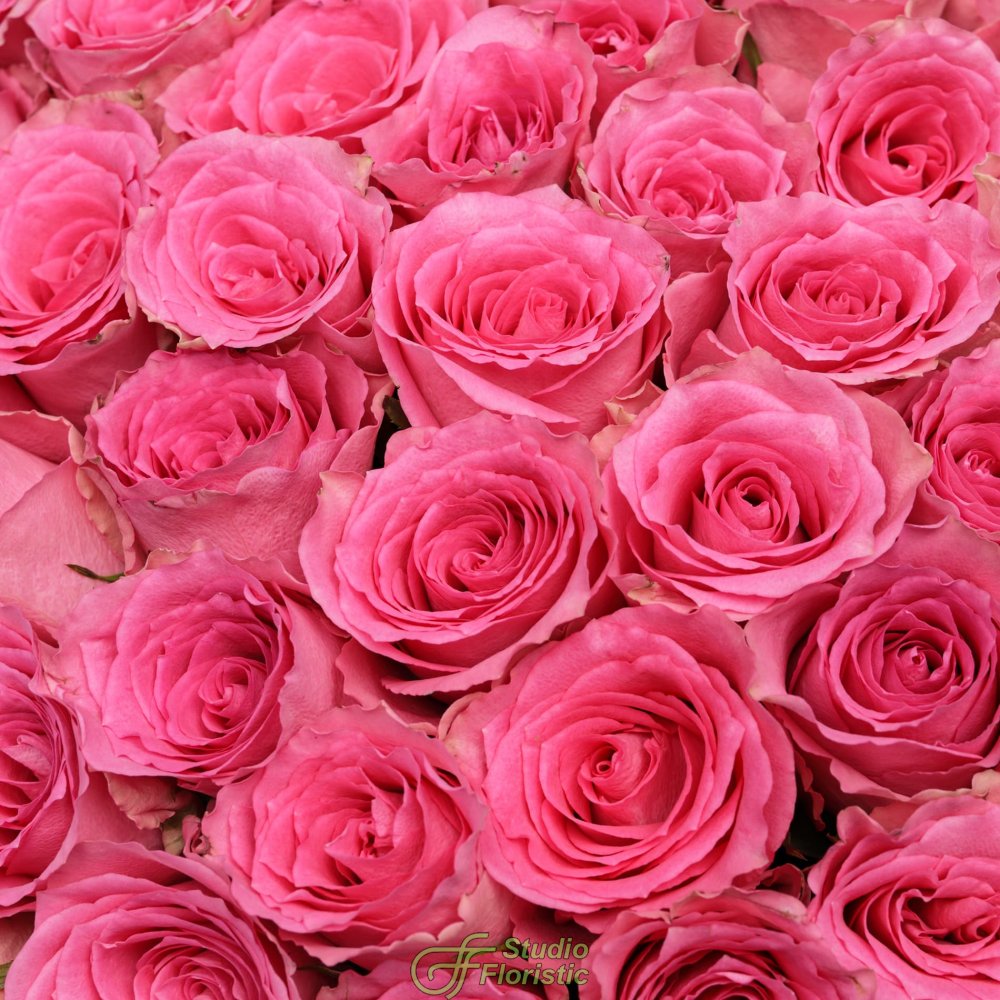 Букет из розовых Роз Кения 60 см 101 шт «Ярче Звезды» Букет из розовых Роз Кения 60 см 101 шт «Ярче Звезды»
