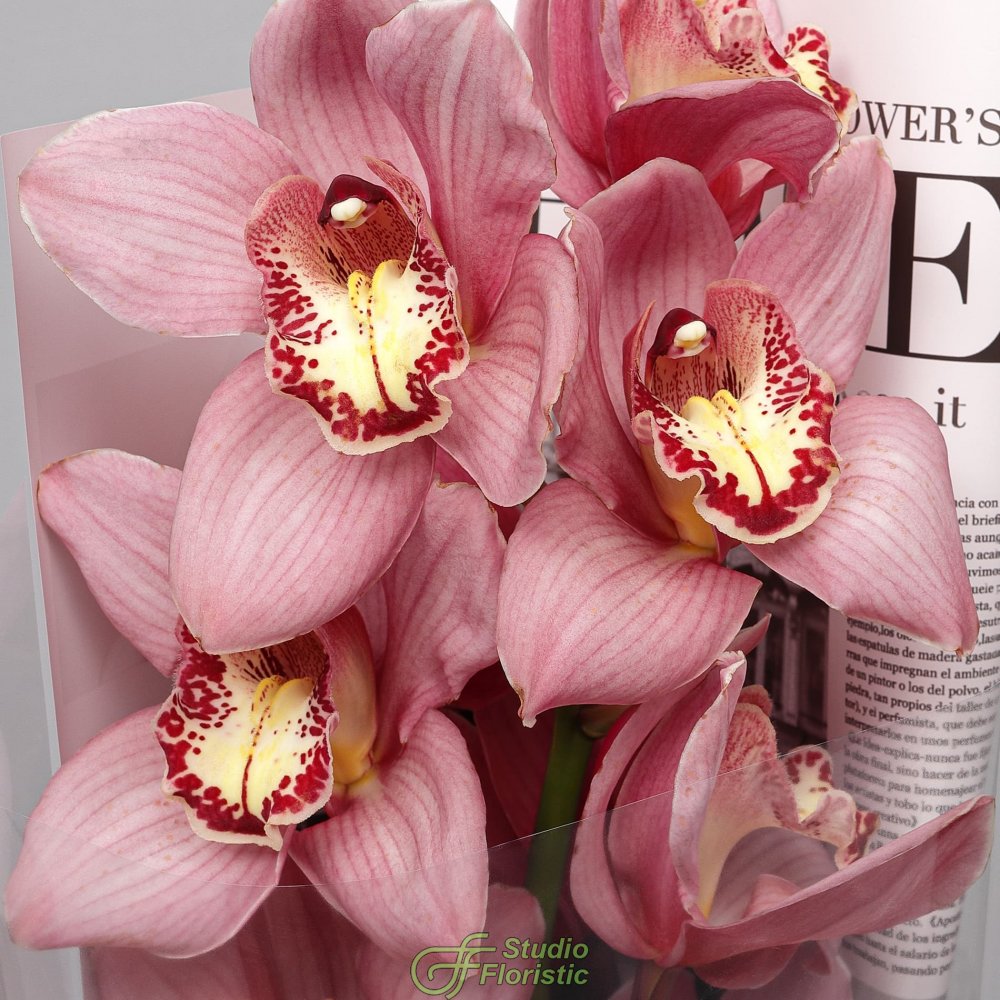 Букет из ветки Розовой Орхидеи «Восточная Загадка» Букет из ветки Розовой Орхидеи «Восточная Загадка»