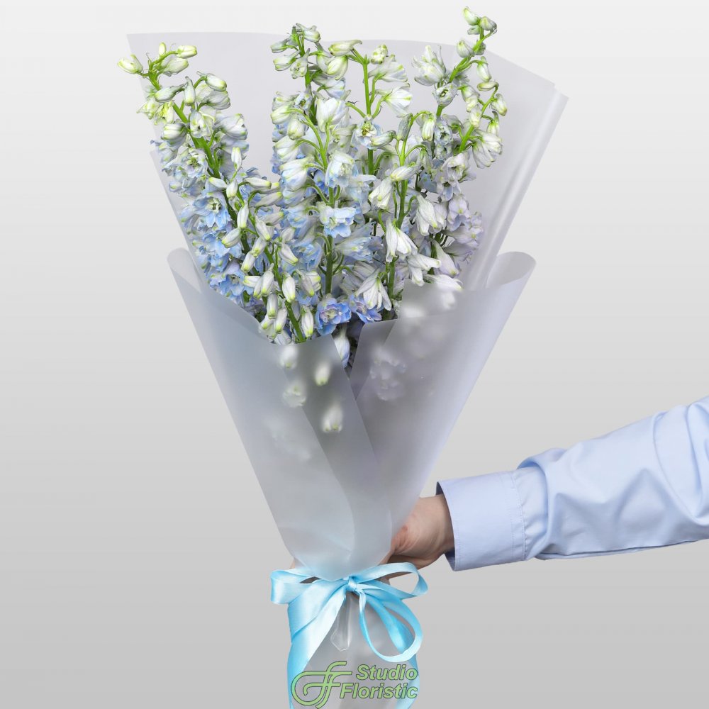Букет из Дельфиниума 9 шт «Лазурная Нежность» Букет из Дельфиниума 9 шт «Лазурная Нежность»