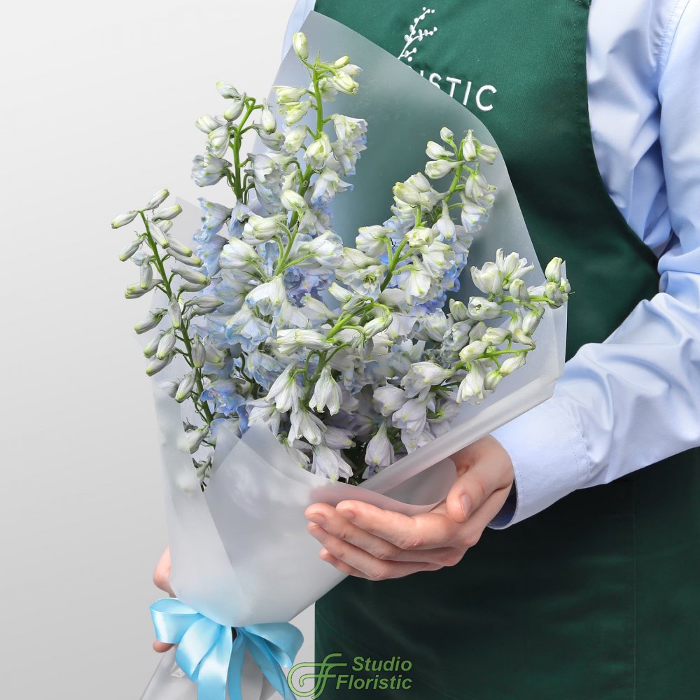 Букет из Дельфиниума 9 шт «Лазурная Нежность» Букет из Дельфиниума 9 шт «Лазурная Нежность»