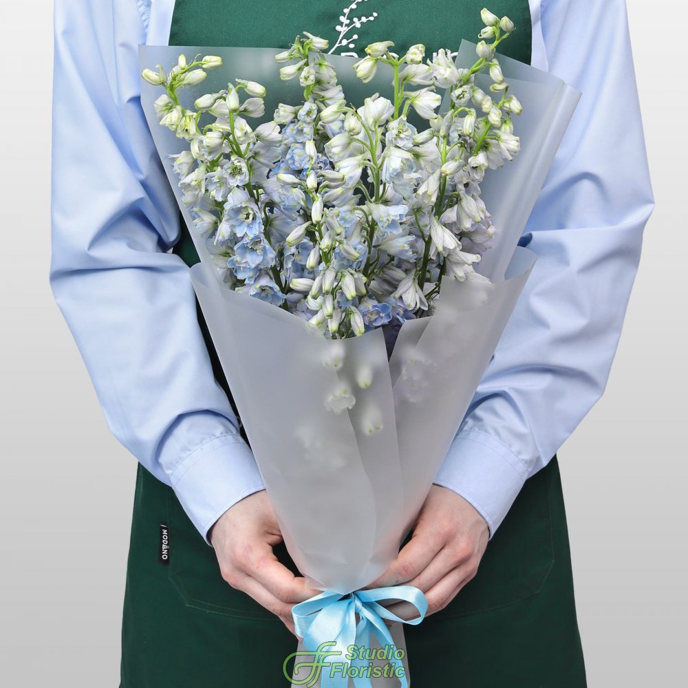 Букет из Дельфиниума 9 шт «Лазурная Нежность» Букет из Дельфиниума 9 шт «Лазурная Нежность»