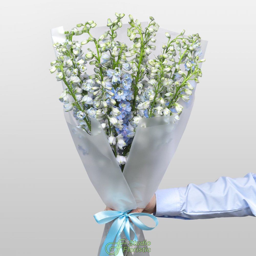 Букет из Дельфиниума 15 шт «Летний Дождь» Букет из Дельфиниума 15 шт «Летний Дождь»